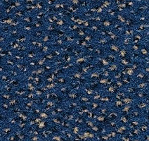 Ковролин Balsan Zenith Roll 158 фото 1 | FLOORDEALER